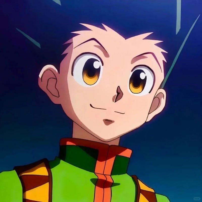 Album ảnh gon freecss