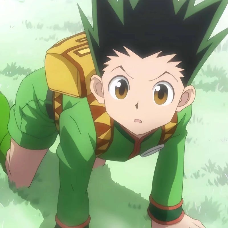 Album hình ảnh gon freecss