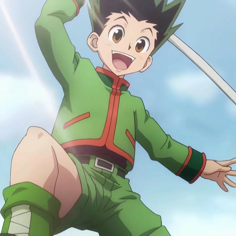 Album hình gon freecss