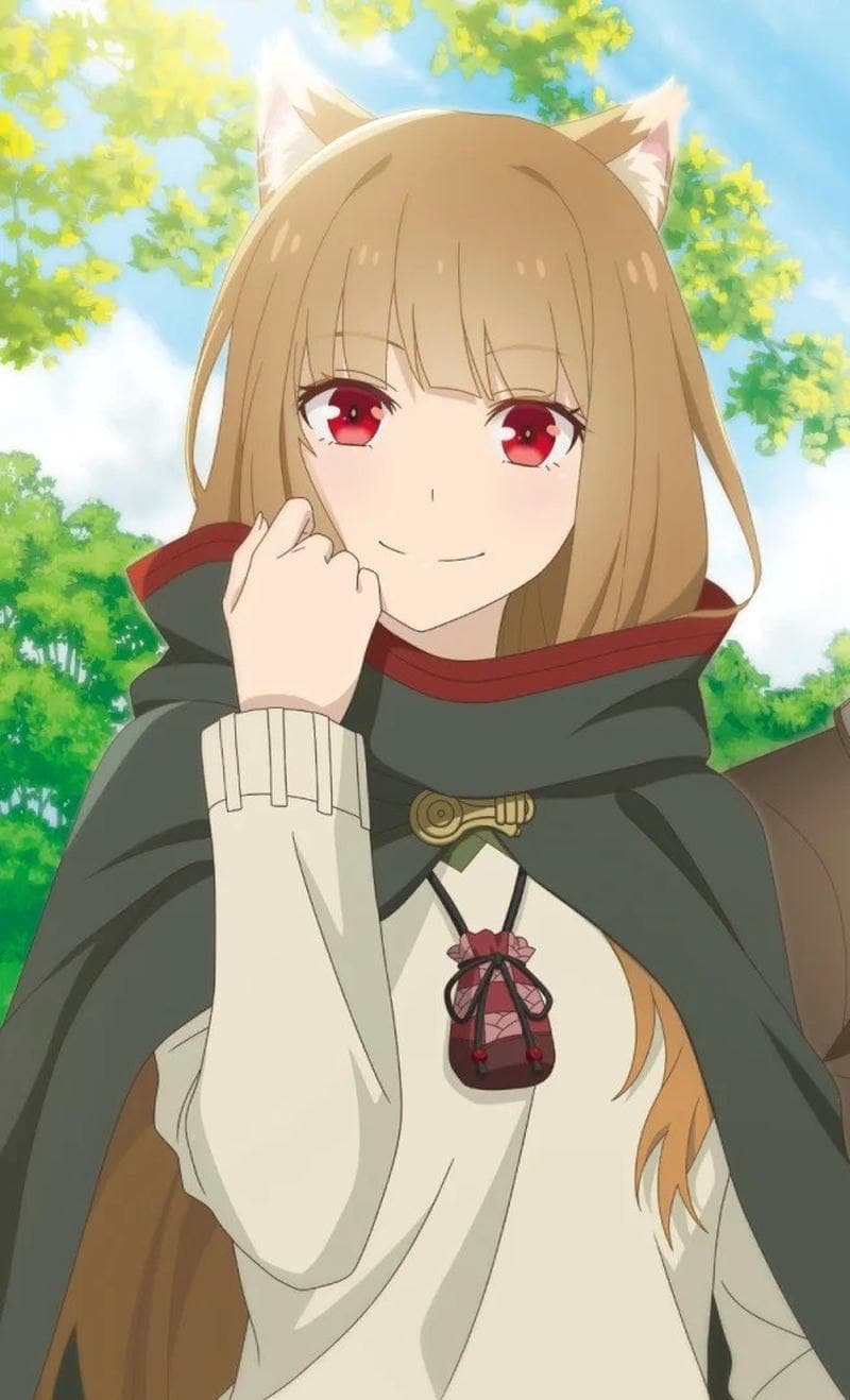 Album hình holo anime