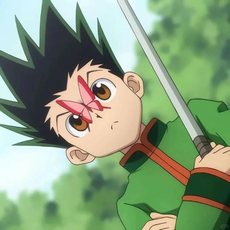 Ảnh avatar gon freecss