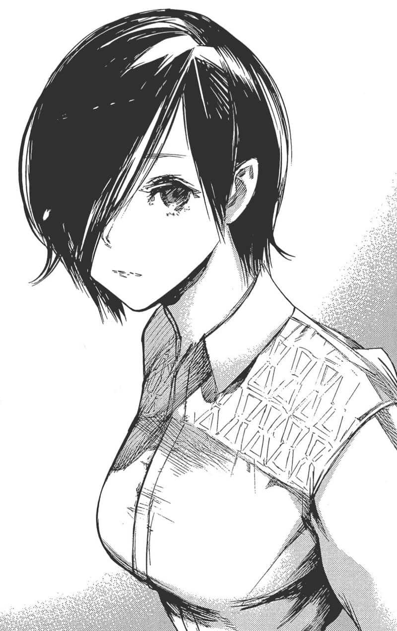 Ảnh touka kirishima