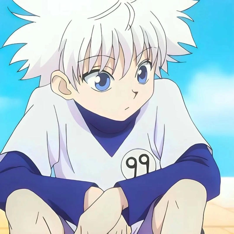 Avatar ảnh killua zoldyck