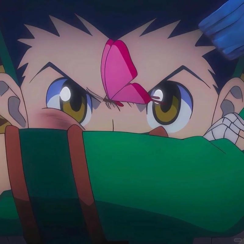 Bộ ảnh gon freecss