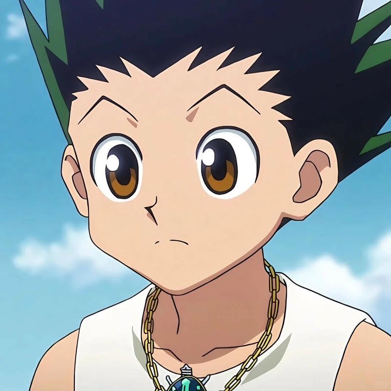 Bộ hình ảnh gon freecss