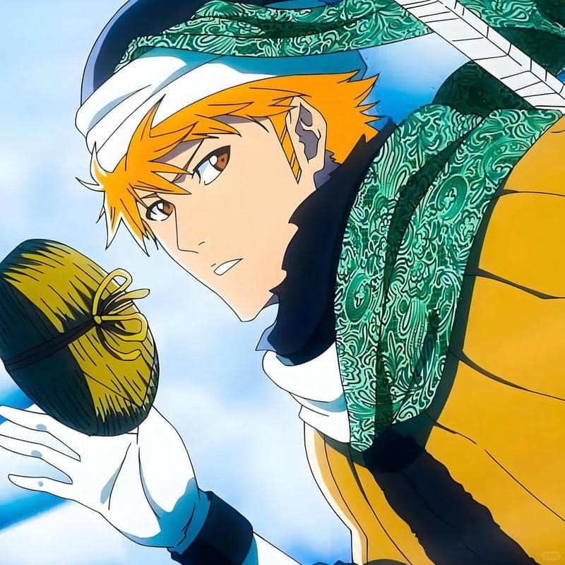 Bộ hình ảnh ichigo kurosaki