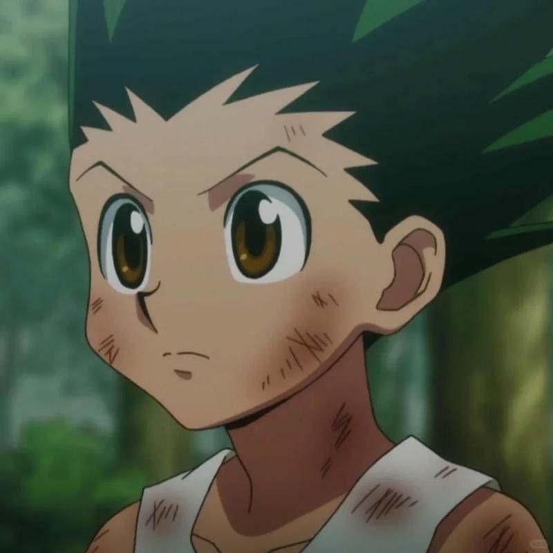 Loạt ảnh gon freecss anime