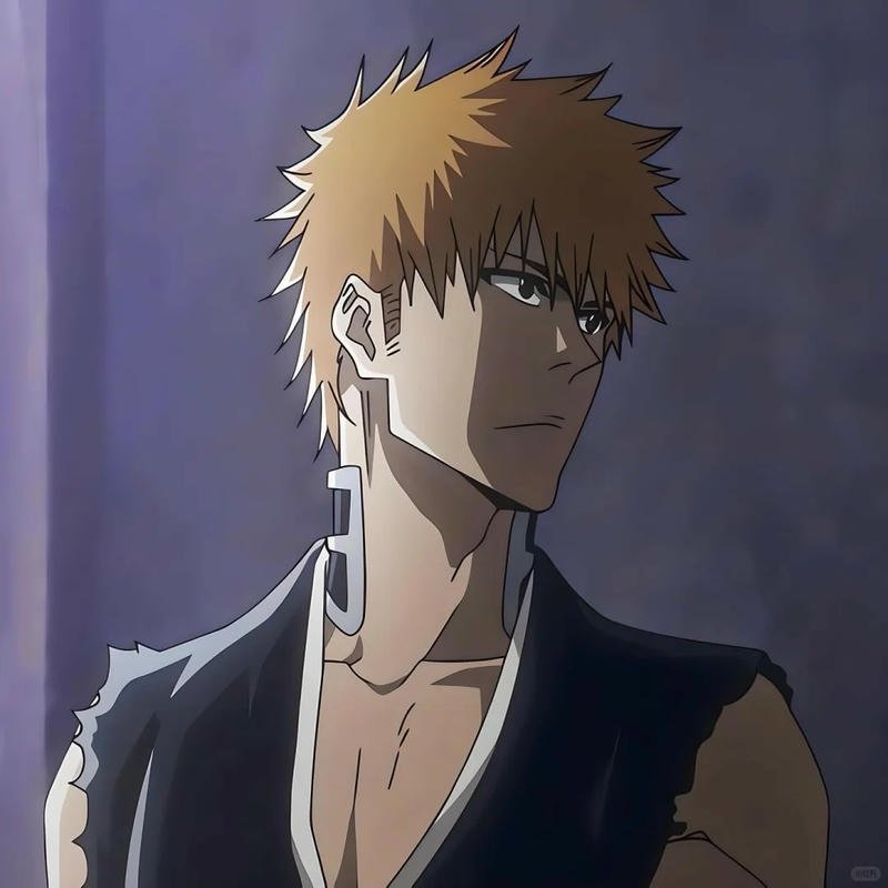 Loạt ảnh ichigo kurosaki anime