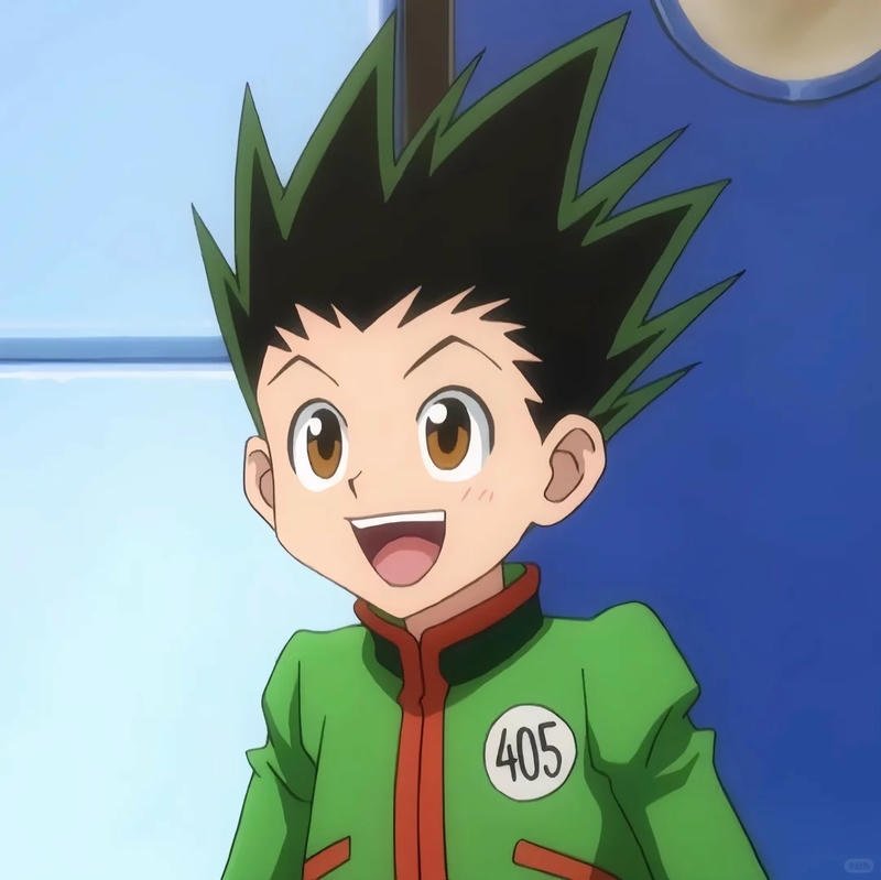 Loạt hình ảnh gon freecss