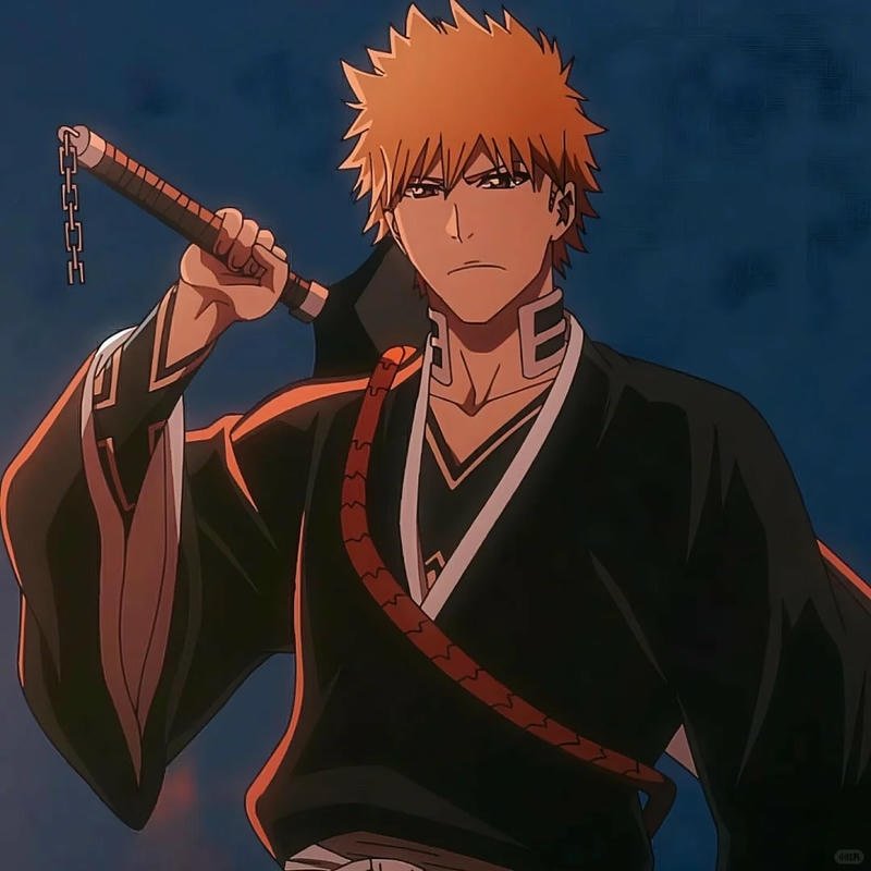 Loạt hình ichigo kurosaki