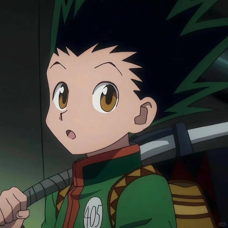 Ngắm hình gon freecss anime