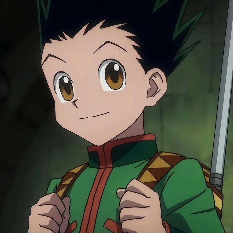 Xem ảnh gon freecss anime