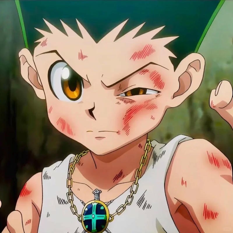 Xem hình ảnh gon freecss