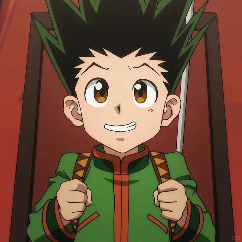 Xem hình gon freecss