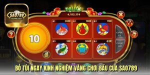 bo-tui-ngay-kinh-nghiem-vang-choi-bau-cua-sao789