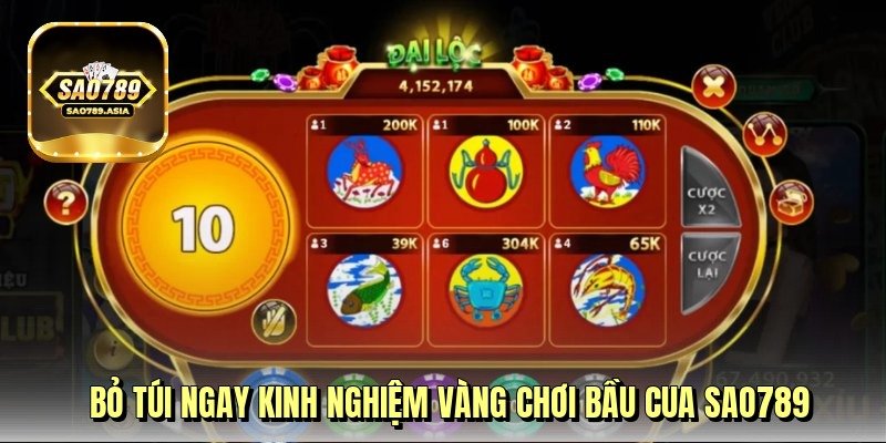 bo-tui-ngay-kinh-nghiem-vang-choi-bau-cua-sao789