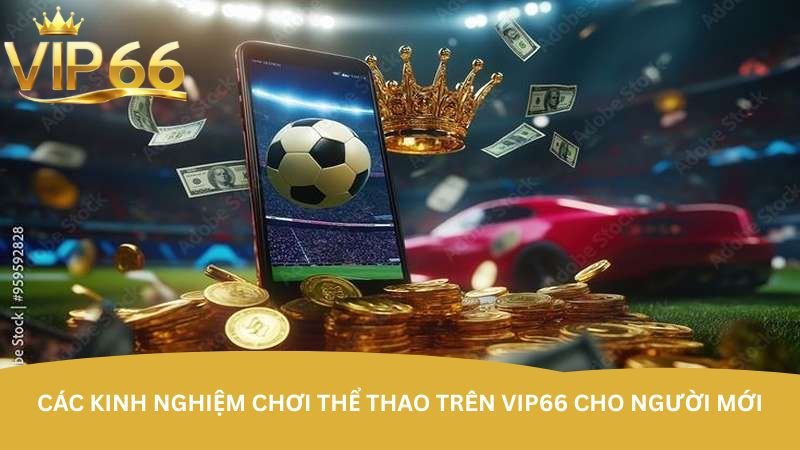 cac-kinh-nghiem-choi-the-thao-tren-vip66-cho-nguoi-moi