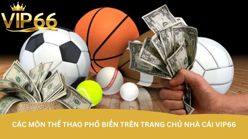 cac-mon-the-thao-pho-bien-tren-trang-chu-nha-cai-vip66