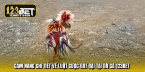 cam-nang-chi-tiet-ve-luat-cuoc-bat-bai-tai-da-ga-123bet