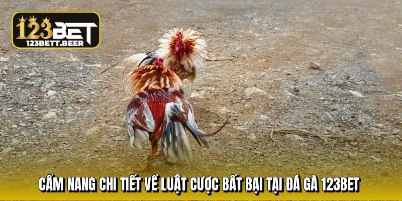 cam-nang-chi-tiet-ve-luat-cuoc-bat-bai-tai-da-ga-123bet