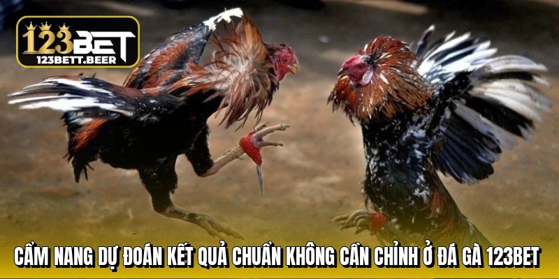 cam-nang-du-doan-ket-qua-chuan-khong-can-chinh-o-da-ga-123bet