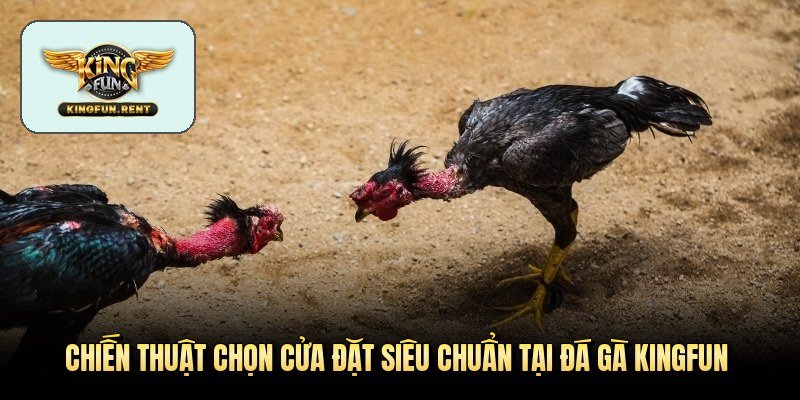 chien-thuat-chon-cua-dat-sieu-chuan-tai-da-ga-kingfun