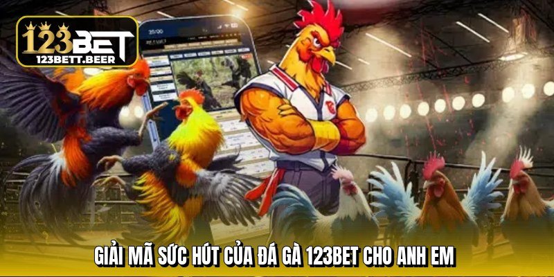 giai-ma-suc-hut-cua-da-ga-123bet-cho-anh-em