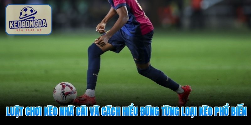 luat-choi-keo-nha-cai-va-cach-hieu-dung-tung-loai-keo-pho-bien