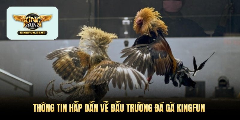 thong-tin-hap-dan-ve-dau-truong-da-ga-kingfun