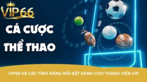 vip66-va-cac-tinh-nang-noi-bat-danh-cho-thanh-vien-vip