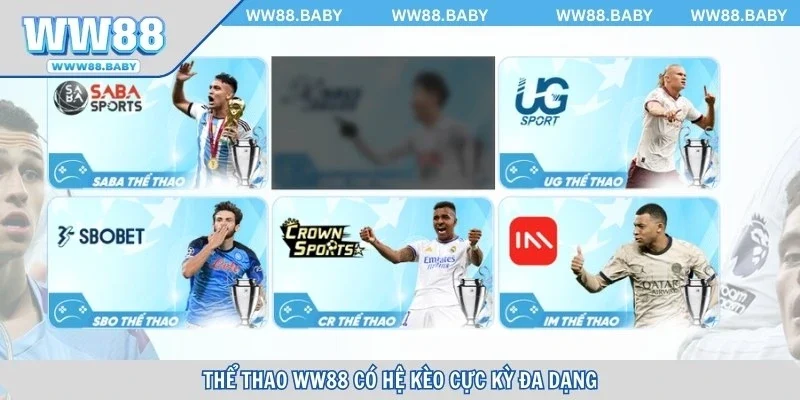 he-thong-keo-va-ty-le