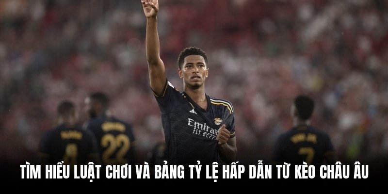 tim-hieu-luat-choi-va-bang-ty-le-hap-dan-tu-keo-chau-au