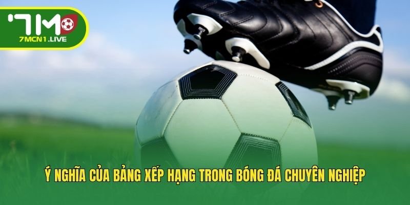 y-nghia-cua-bang-xep-hang-trong-bong-da-chuyen-nghiep