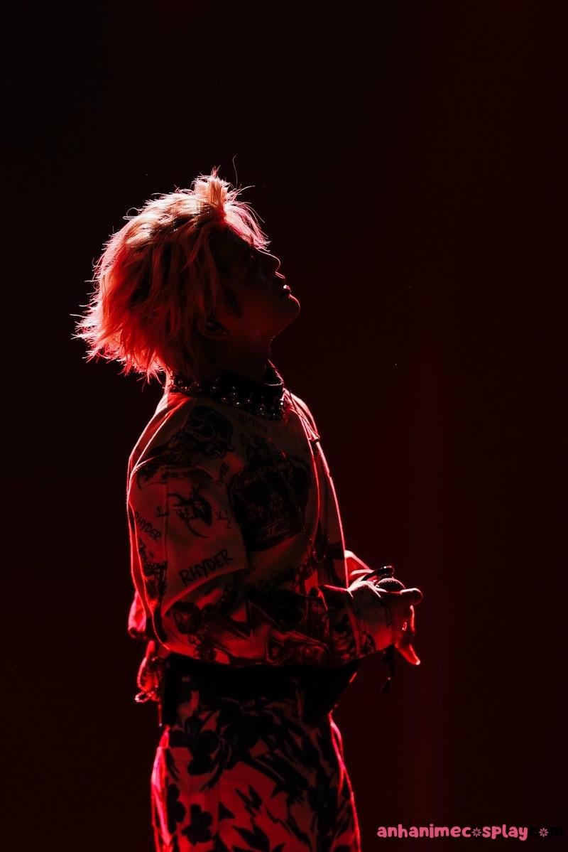 Bộ ảnh ảnh rhyder miễn phí