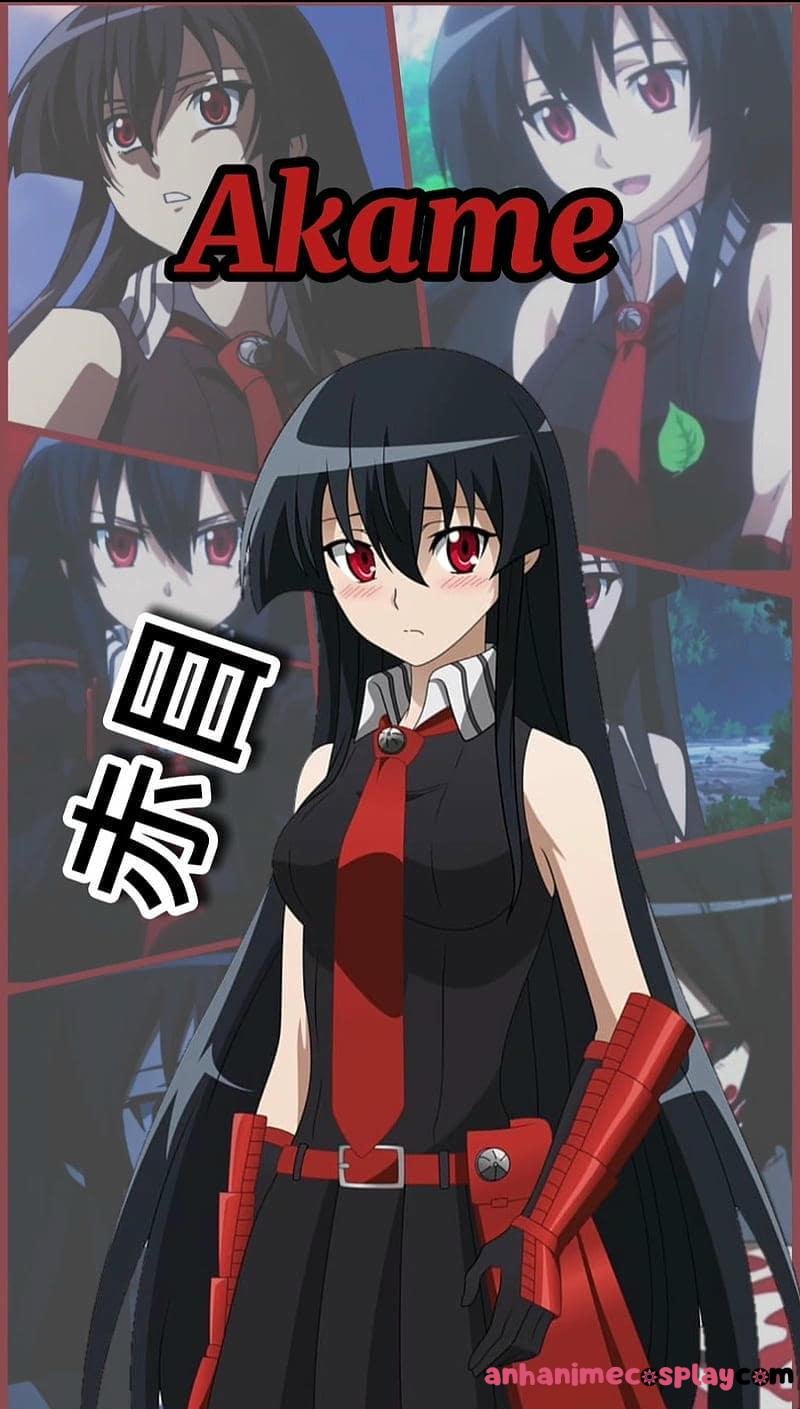 Bộ ảnh akame sắc nét nhất