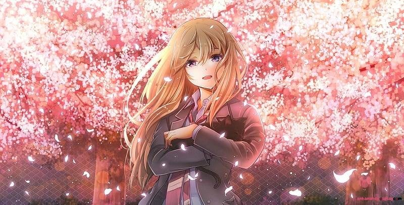 Album ảnh kaori miyazono độc quyền