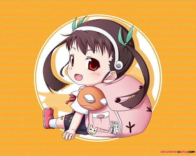 Album ảnh mayoi hachikuji mới