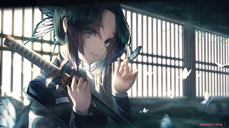 Album ảnh shinobu kocho mới