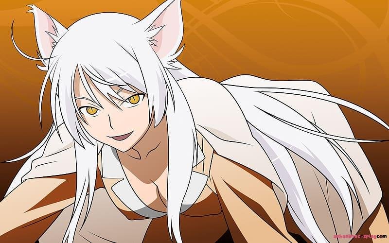 Album ảnh tsubasa hanekawa mới nhất