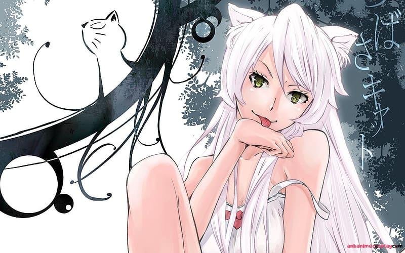 Ảnh ảnh tsubasa hanekawa sắc nét