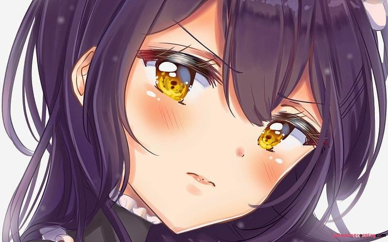 Bộ ảnh ảnh misaki ayuzawa miễn phí