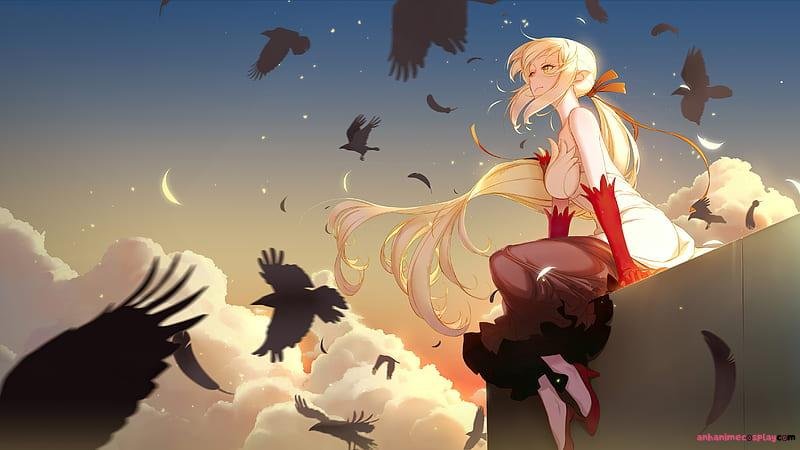 Bộ ảnh ảnh shinobu oshino miễn phí