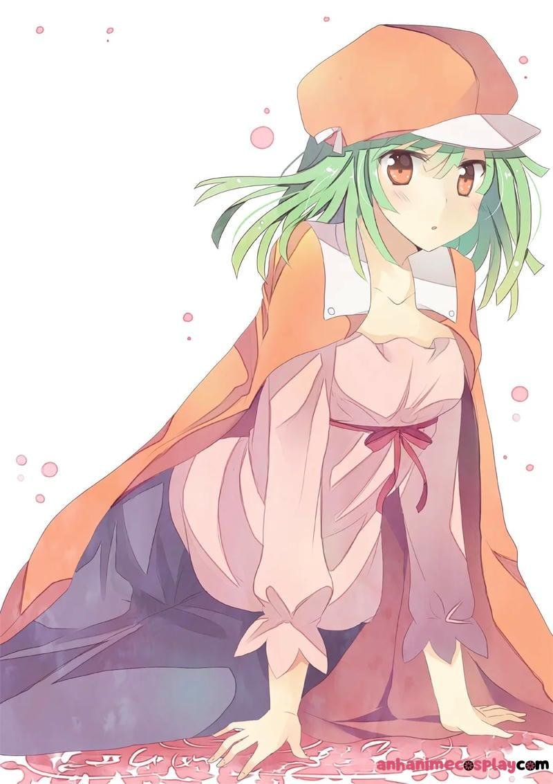 Bộ sưu tập ảnh nadeko sengoku đẹp