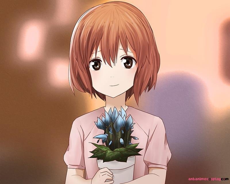 Bộ sưu tập ảnh shouko nishimiya mới nhất