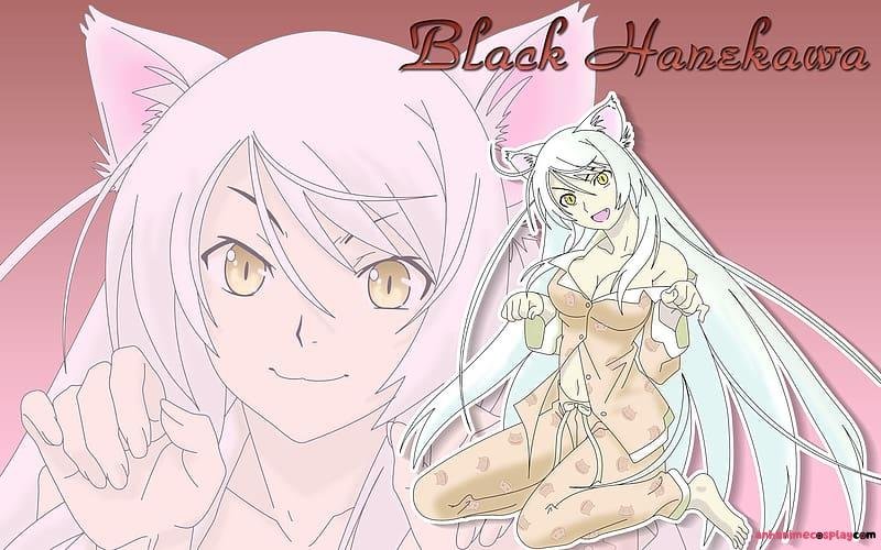 Bộ sưu tập ảnh tsubasa hanekawa đẹp nhất