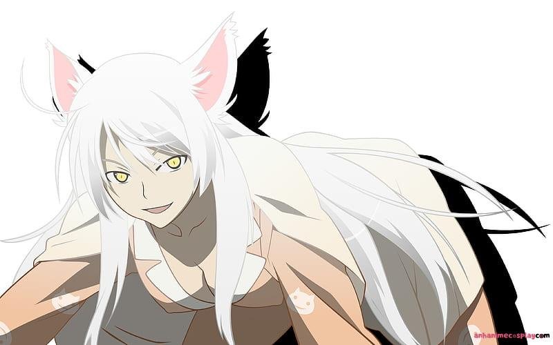 Bộ sưu tập ảnh tsubasa hanekawa miễn phí
