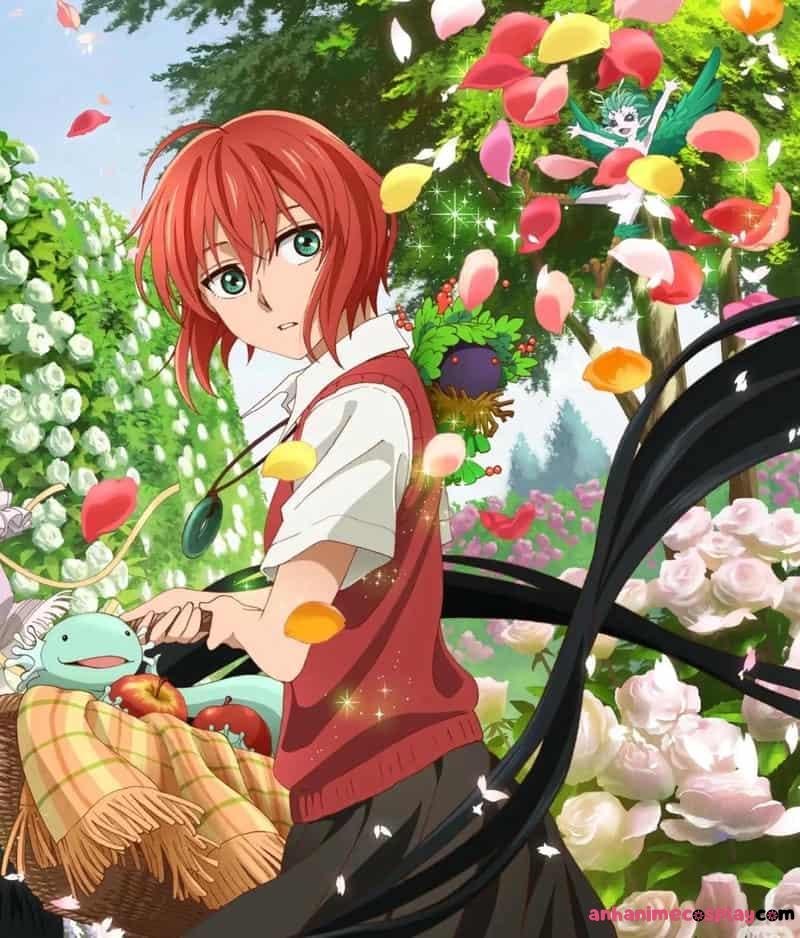 Khám phá ảnh chise hatori đẹp