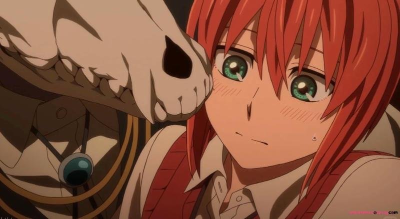 Khám phá ảnh chise hatori mới nhất