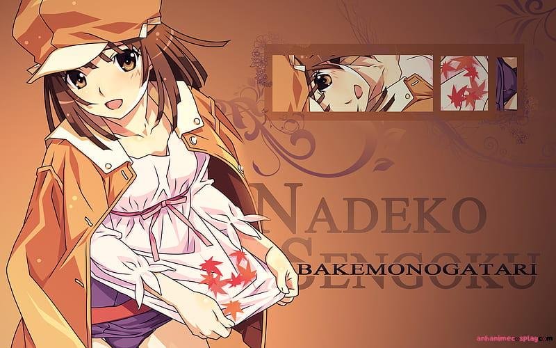 Khám phá ảnh nadeko sengoku mới nhất