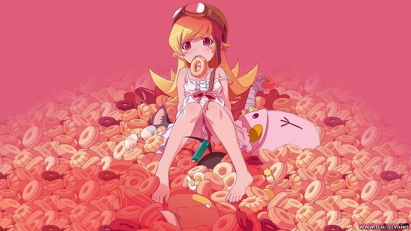 Khám phá ảnh shinobu oshino cuốn hút